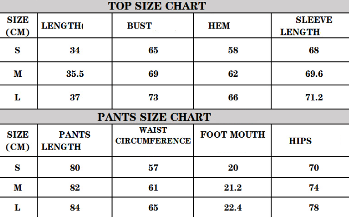 Sports Running Fitness Clothes Two Piece Set for Women