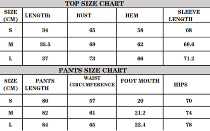 Sports Running Fitness Clothes Two Piece Set for Women
