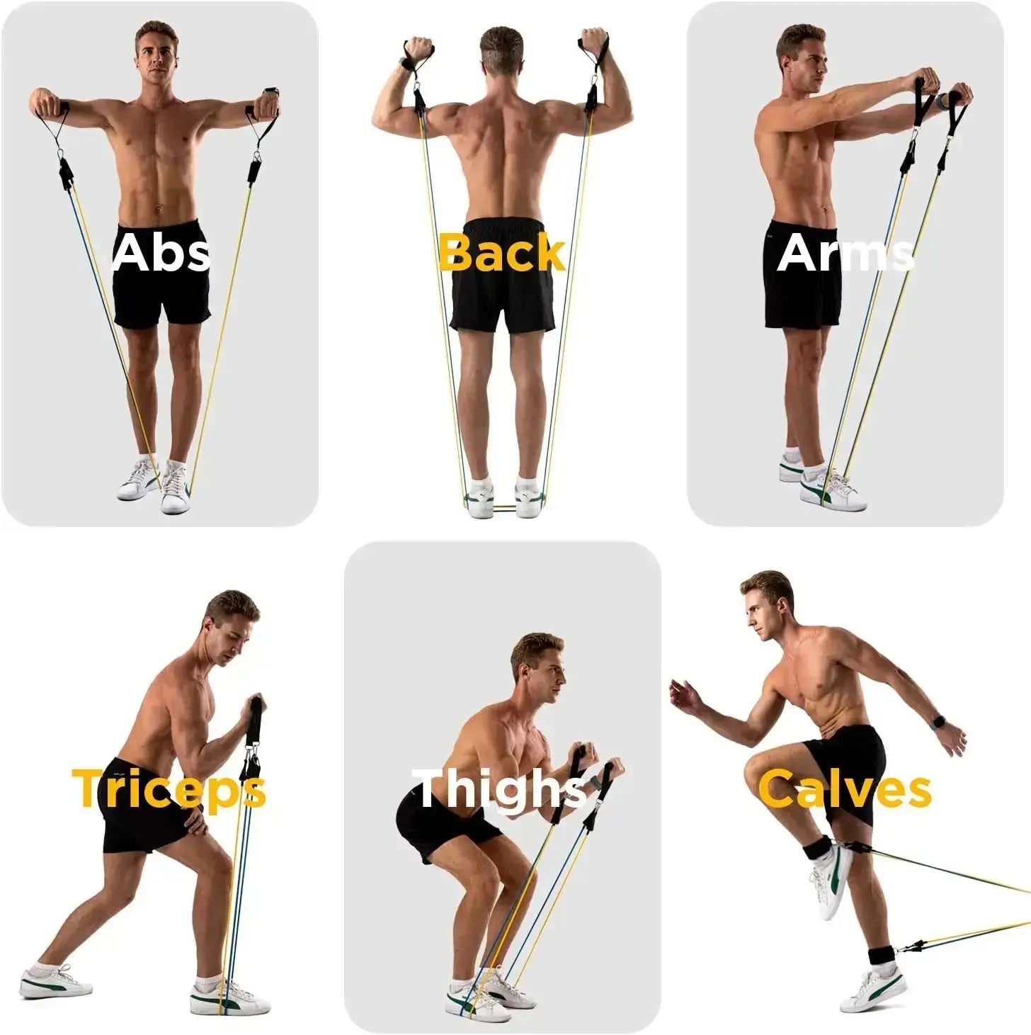 300lb Resistance Bands with Dumbbell Harness 24 Hour Sport